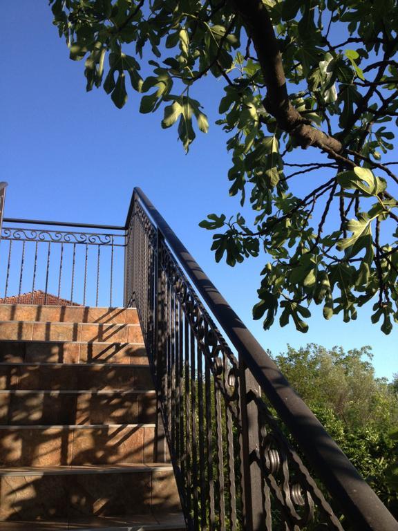 Apartmani Tivat Kaludjerovic Rum bild
